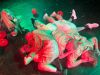©Theater Zephier 2024 - Ein Sommernachtstraum